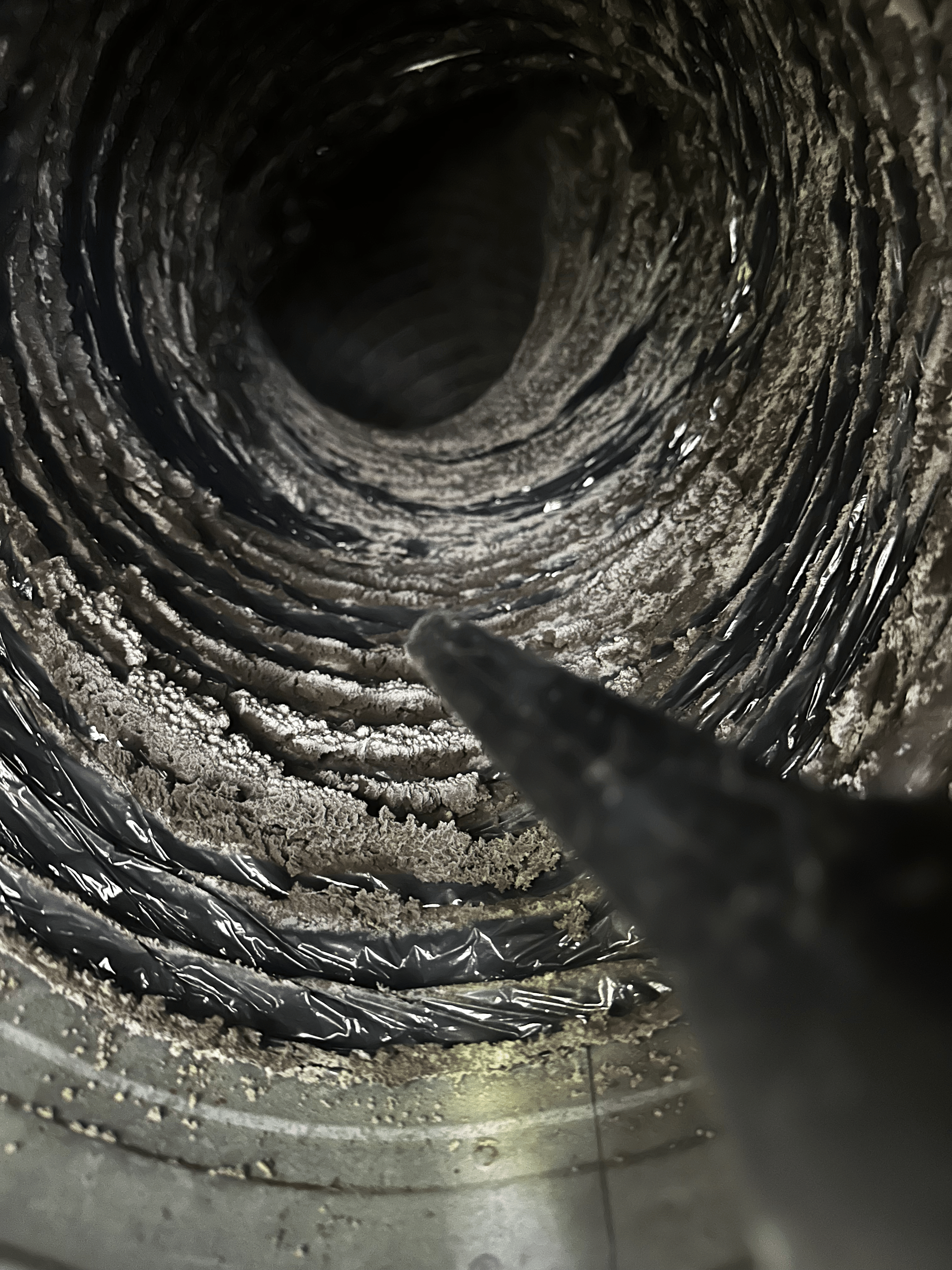 Organic dryer vent cleaning